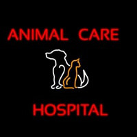 Animal Care Hospital Logo Neon Skilt