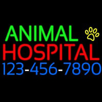 Animal Hospital With Phone Number Neon Skilt