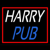 Custom Harry Pub 2 Neon Skilt
