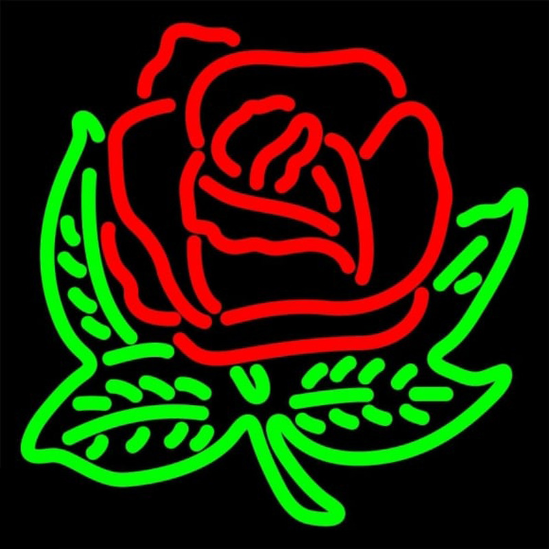 Alpha Omicron Pi Logo Neon Skilt