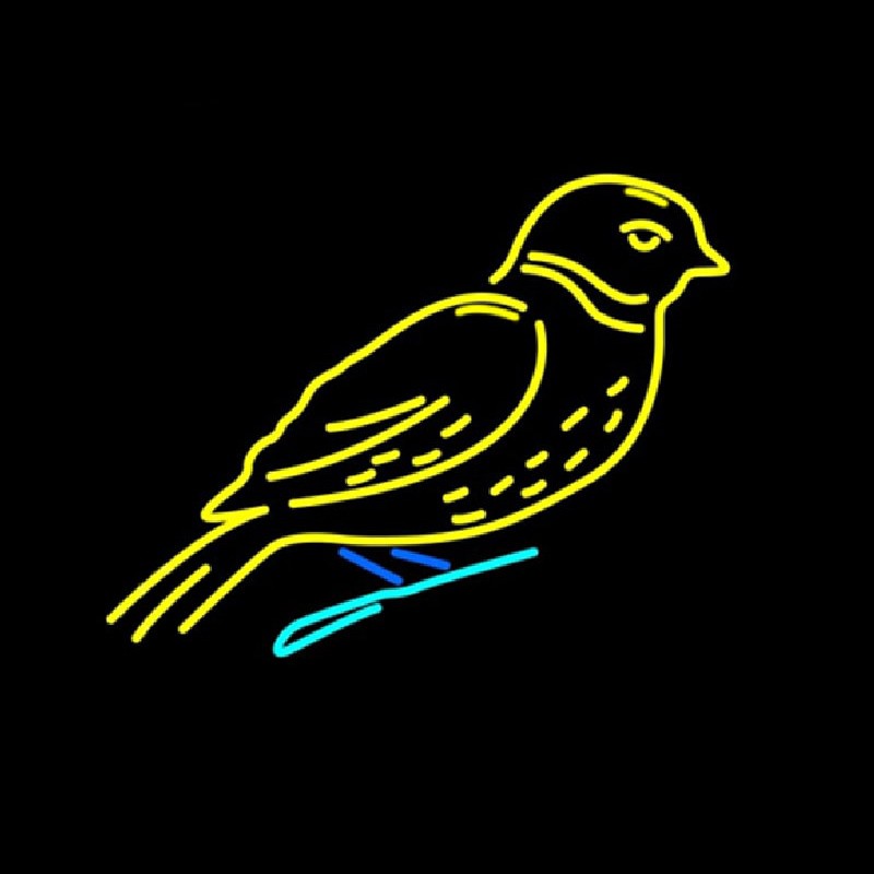 Birds Logo Neon Skilt