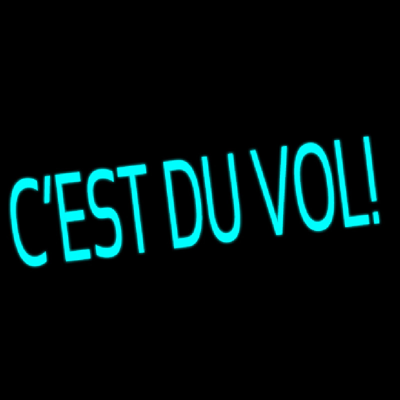 Cest Du Vol Neon Skilt