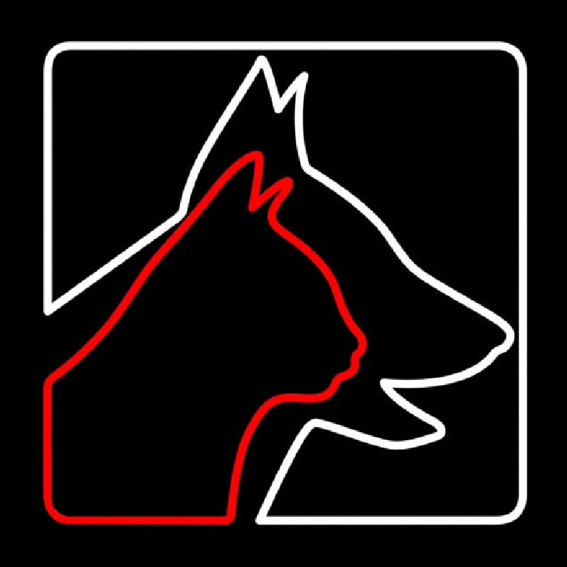 Veterinary Logo Dog Logo Cat Neon Skilt
