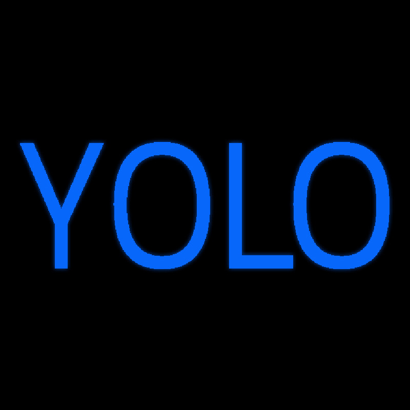 Yolo Neon Skilt