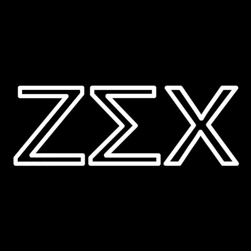 Zeta Sigma Chi Neon Skilt