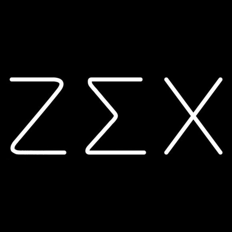Zeta Sigma Chi Neon Skilt