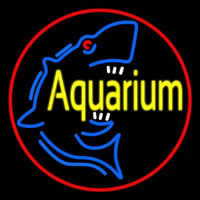 Aquarium Shark Logo Red Circle Neon Skilt