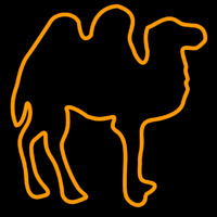 Bactria Camel Neon Skilt