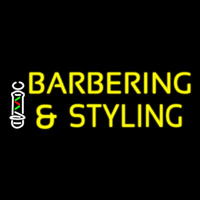 Barbering And Styling Neon Skilt