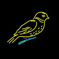 Birds Logo Neon Skilt