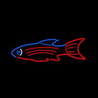 Blue Red Fish Neon Skilt