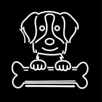 Brittany Spaniel Poster Neon Skilt