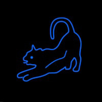 Cat Care Neon Skilt