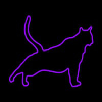 Cat Stretching Purple Neon Skilt