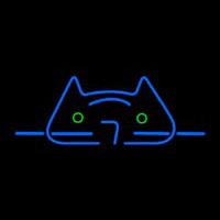 Cool Cat Neon Skilt