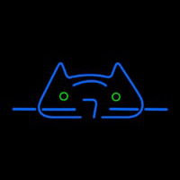 Cool Cat Neon Skilt