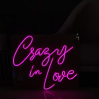 Crazy in Love Neon Skilt