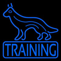 Dog Training Neon Skilt