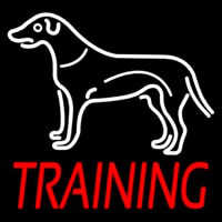 Dog Training Neon Skilt