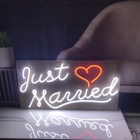 Just Married Neon Skilt