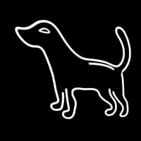 Logo Dog Neon Skilt
