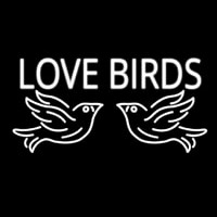 Love Birds Neon Skilt