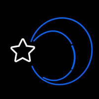 Moon With Star Neon Skilt