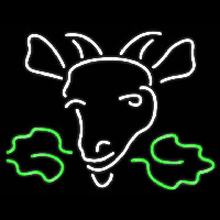 Moosehead Logo Real Neon Glass Tube Neon Skilt