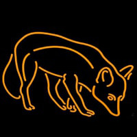 Orange Fo  Neon Skilt