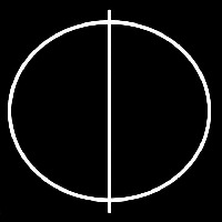 Phi Society Neon Skilt