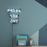 Seize the day Neon Skilt