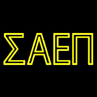 Sigma Alpha Epsilon Pi Neon Skilt