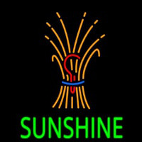 Sunshine With Logo Neon Skilt