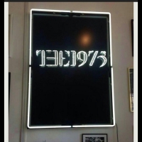 The 1975 Neon Skilt