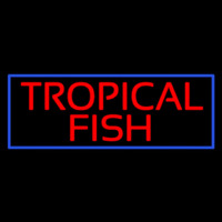 Tropical Fish Blue Border Neon Skilt