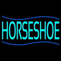 Turquoise Horseshoe Neon Skilt