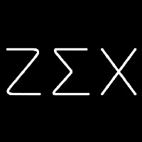 Zeta Sigma Chi Neon Skilt