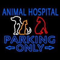 Animal Hospital Parking Only Neon Skilt